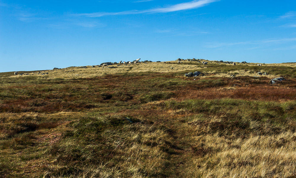 Miton Hill Miton Hill